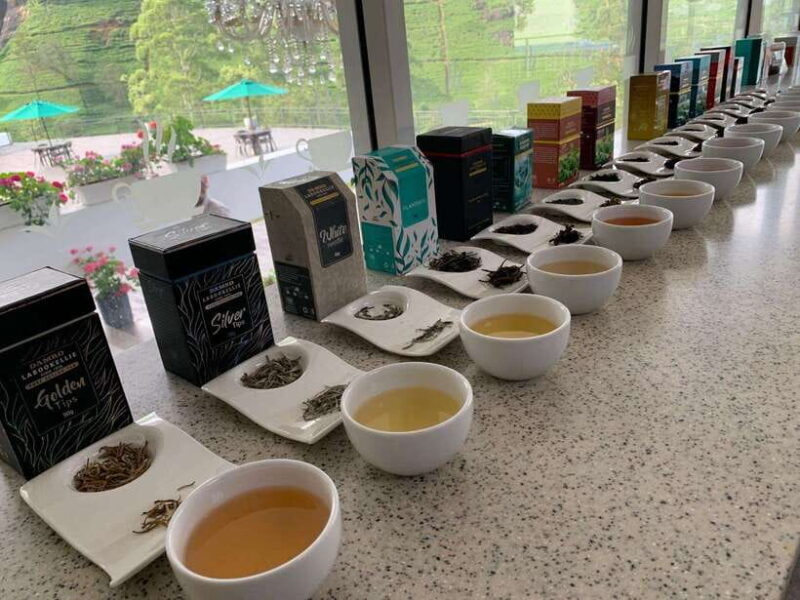 Nuwara Eliya: Private Sightseeing Tuk-Tuk Tour - Who Will Love This Tour?