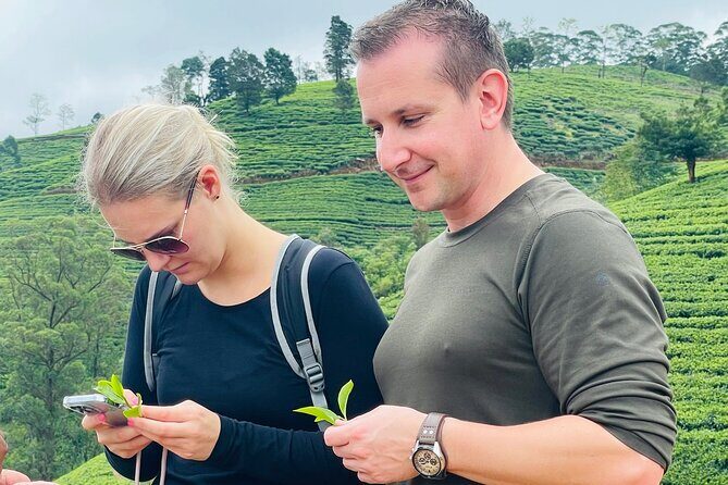 Nuwara Eliya Tea factory,plantation and Water Falls Tour - FAQs