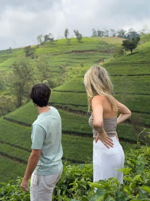 Nuwara Eliya Tea Visit & Ramboda Falls Tours with Taxis - Final Thoughts