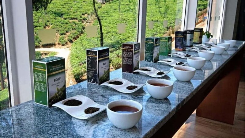 Nuwara Eliya to Kandy: Transfer with Waterfall & Tea Tour - Key Points