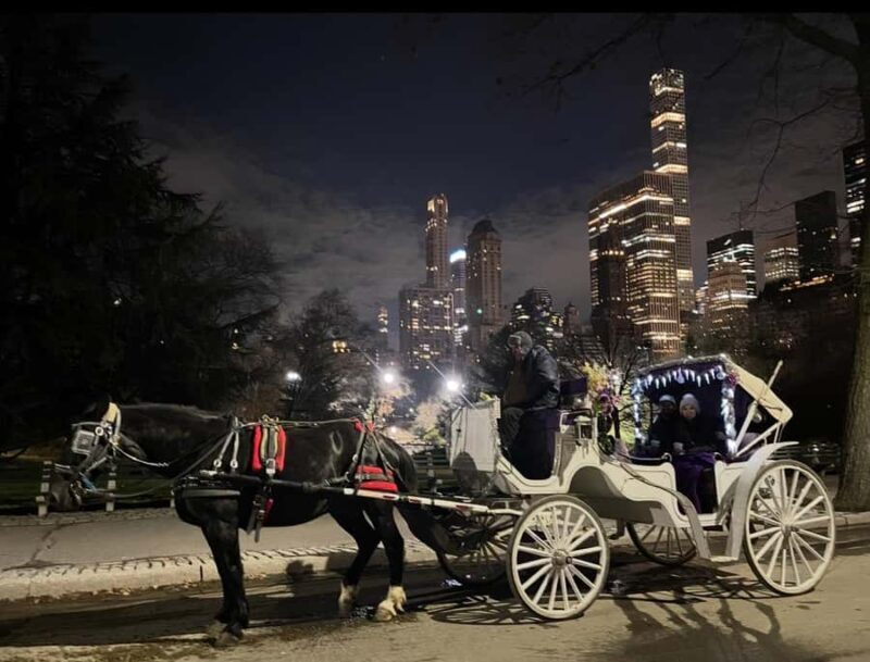 NYC: Amazing Central Park Horse and Carriage Ride with Guide - In-Depth: What Makes This Experience Worthwhile?