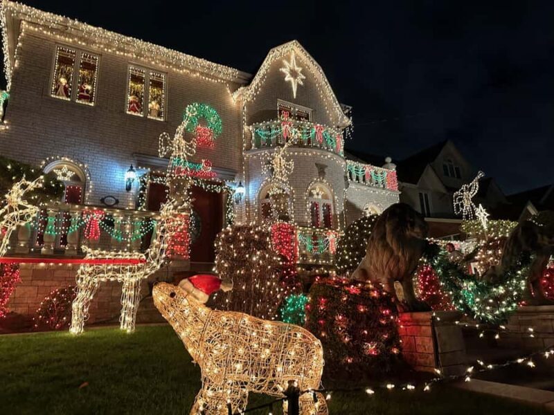 NYC at Night: 3.5 Hour Tour of Holiday Lights - Who Will Love This Tour?