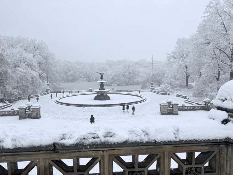 NYC: Central Park Guided Bike Tour with Movie Locations - Authentic Insights from Past Travelers