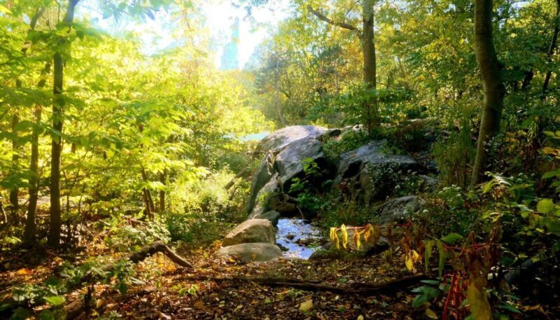 NYC: Central Park Guided Walking Tour English-Spanish - FAQ