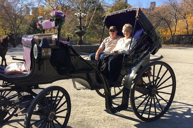 NYC Central Park Horse and Carriage Ride: Long Ride 45 min - Why a Horse and Carriage Ride is a Special Way to See Central Park