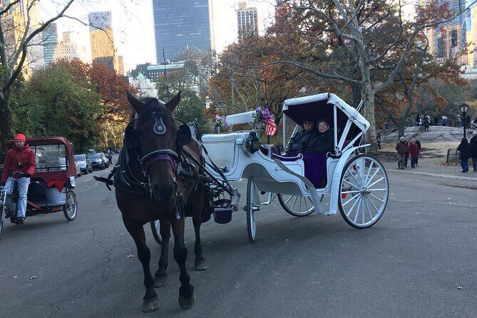 NYC Central Park Horse and Carriage Ride: Long Ride 45 min - The Practicalities: What You Need to Know