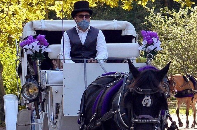 NYC Central Park Horse and Carriage Ride: Long Ride 45 min - Who Will Love This Experience?