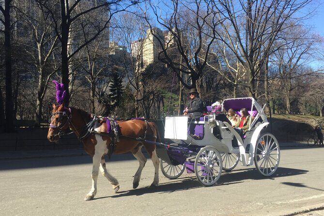 NYC Central Park Horse and Carriage Ride: Long Ride 45 min - Final Thoughts
