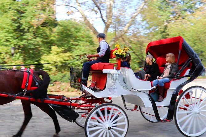 NYC Central Park Horse Carriage Ride (Up to 4 Adults) - Who Will Love This Tour?