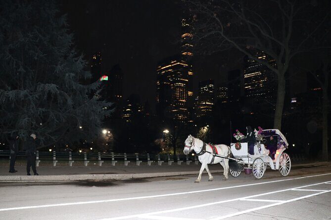 NYC Central Park Horse Carriage Ride (Up to 4 Adults) - Final Word
