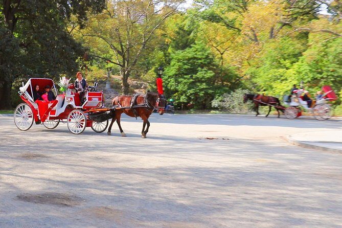 NYC Central Park Horse Carriage Ride (Up to 4 Adults) - FAQ