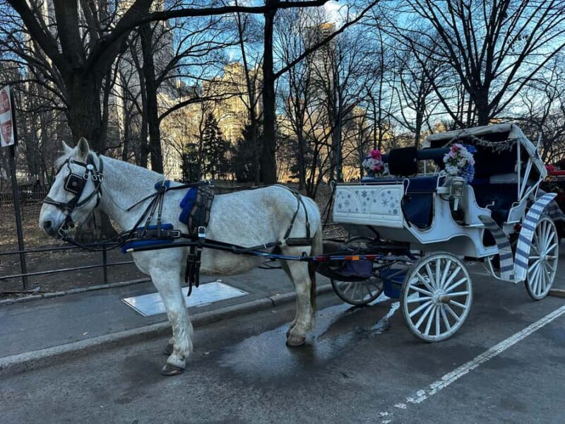 NYC Central Park Horse Drawn Carriage Ride - Analyzing the Value