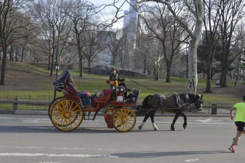 NYC: Central Park Horse-Drawn Carriage Ride - Experience the Charm of Central Park with a Horse-Drawn Carriage Ride