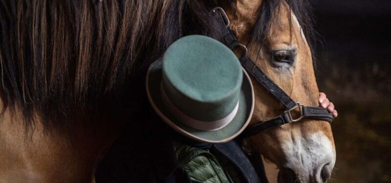 NYC: Central Park Horse-Drawn Carriage Ride - Who Would Enjoy This Tour?