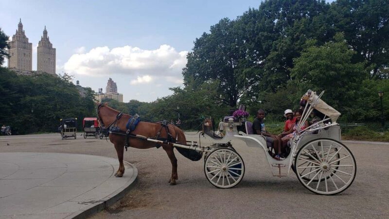 NYC: Central Park Horse-Drawn Carriage Ride - Final Thoughts