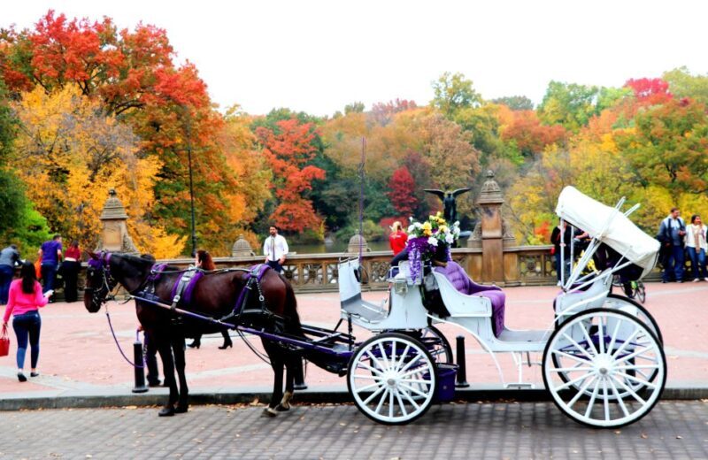 NYC: Central Park Horse-Drawn Carriage Ride (up to 4 Adults) - Key Points
