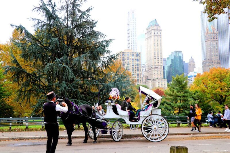 NYC: Central Park Horse-Drawn Carriage Ride (up to 4 Adults) - An In-Depth Look at the Central Park Carriage Ride