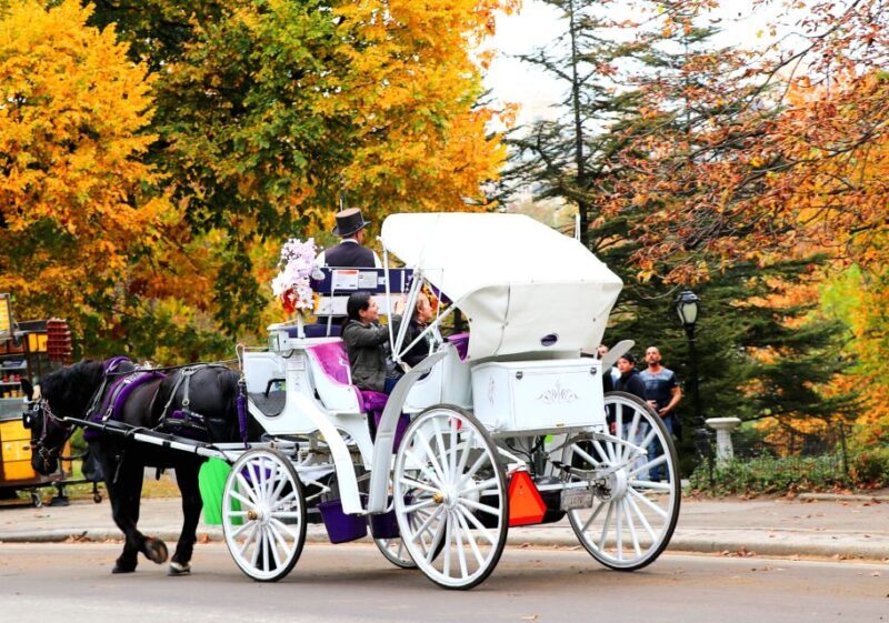 NYC: Central Park Horse-Drawn Carriage Ride (up to 4 Adults) - FAQ