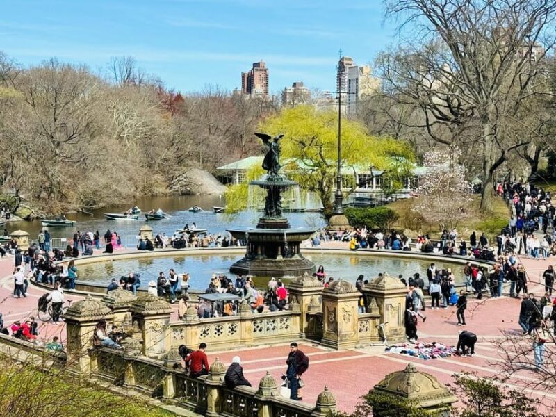 NYC: Central Park Pedicab Tour with Photo Stops - Who Should Book This Tour?