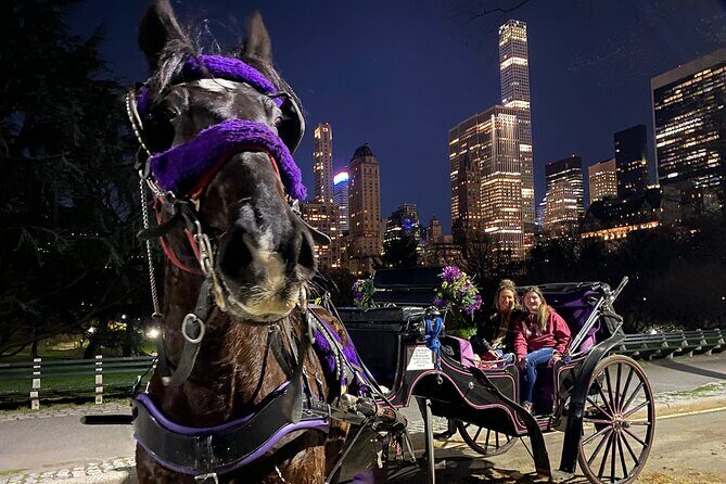 NYC Central Park & Rockefeller Center Private Horse Carriage Tour - A Deep Dive into the Experience
