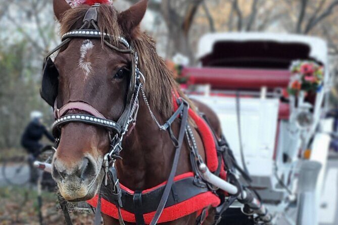 NYC Central Park & Rockefeller Center Private Horse Carriage Tour - Who Would Love This Tour?