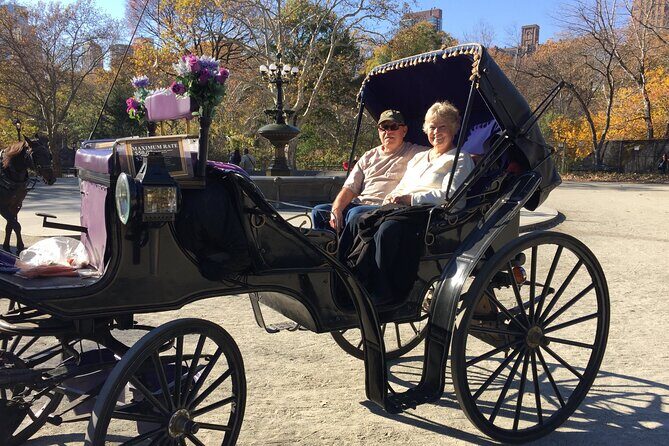 NYC Central Park VIP Horse and Carriage Ride - A Deeper Look at the Central Park Horse and Carriage Ride