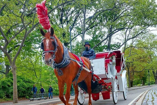 NYC Central Park VIP Horse and Carriage Ride - The Sum Up