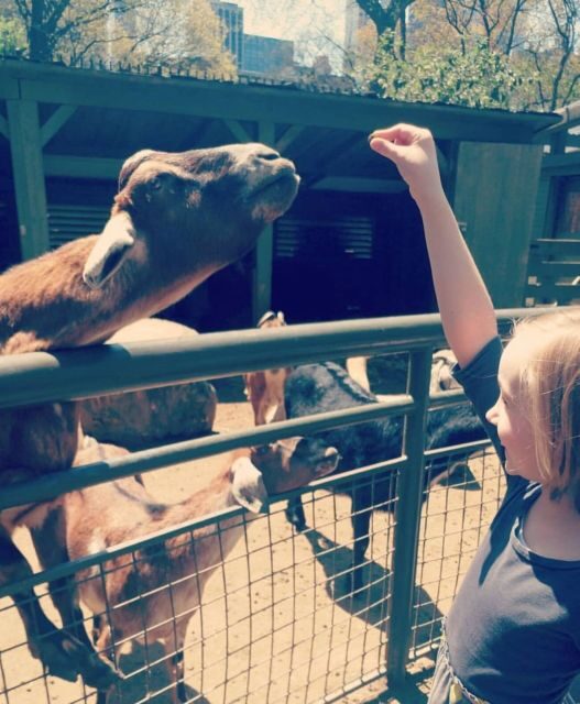 NYC: Central Park Zoo & Central Park Guided Walking Tour - Practical Details and Tips
