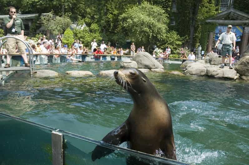 NYC: Central Park Zoo Entry Ticket & Manhattan Walking Tour - Exploring the Manhattan Sights: What to Expect