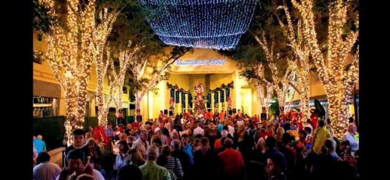 NYC Christmas Express: Holiday Lights Guided Tour - A Detailed Look at the NYC Christmas Express Tour