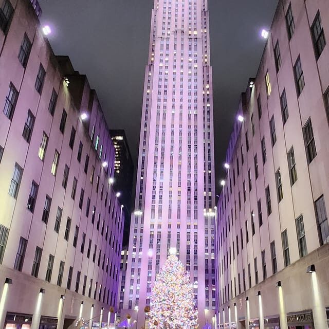 NYC: Christmas Lights Horse Carriage Ride - Who Will Love This Tour?