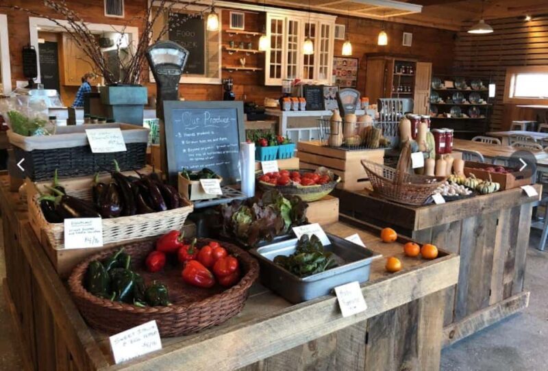 NYC: Classic Wine Country Guided Bike Tour - NYC: Classic Wine Country Guided Bike Tour – A Balanced Look at a Charming North Fork Experience