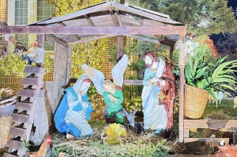 NYC: Dyker Heights Christmas Lights Trolley Tour - A Detailed Look at the Dyker Heights Christmas Lights Trolley Tour