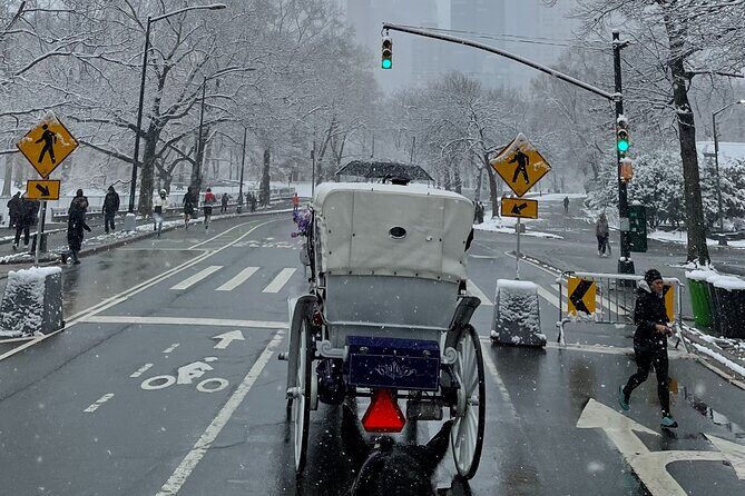 NYC Empire State Horses Carriage Ride in Central Park (45 Mins) - Comfort and Convenience