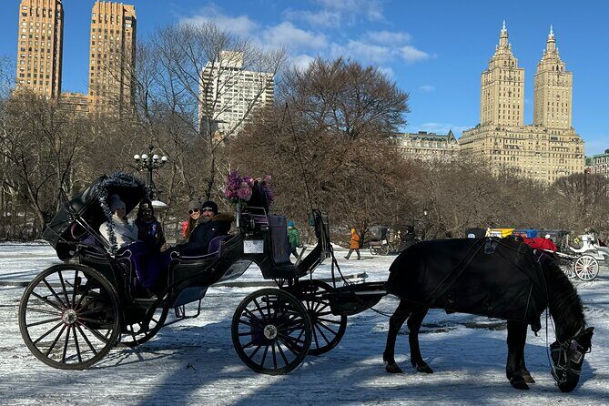 NYC Empire State Horses Carriage Ride in Central Park (45 Mins) - Is It Worth the Price?