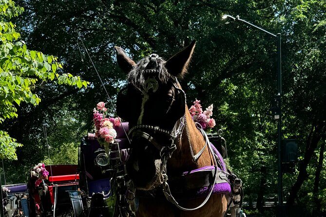 NYC Empire State Horses Carriage Ride in Central Park (45 Mins) - Who Should Consider This Tour?