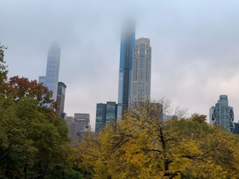 NYC: Empire State Horses Carriage Ride in Central Park - A Closer Look at the Experience