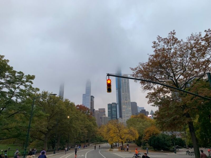 NYC: Empire State Horses Carriage Ride in Central Park - The Sum Up: Who Should Consider This Tour?