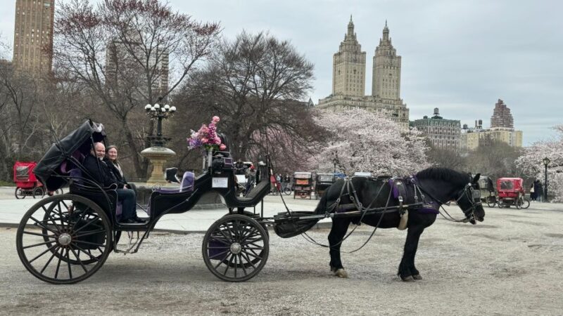 NYC: Empire State Horses Carriage Ride in Central Park - FAQ: Your Questions Answered