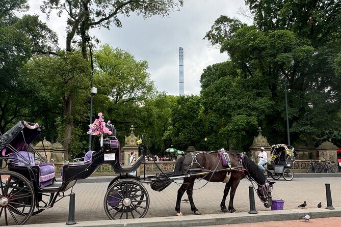 NYC Empire State Horses Carriage Ride in Central Park(55 Min) - Who Will Love This Tour?