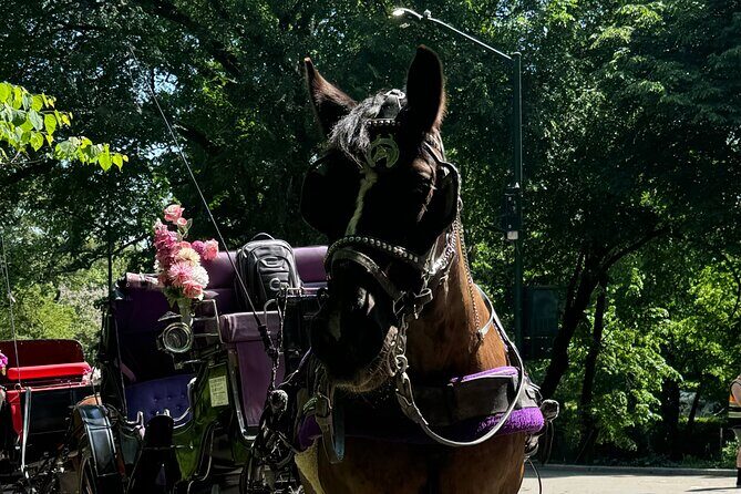 NYC Empire State Horses Carriage Ride in Central Park(55 Min) - Final Thoughts
