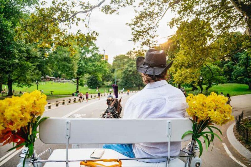 NYC: Guided Central Park Horse Carriage Ride - The Value of the Experience