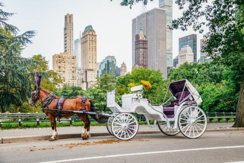 NYC: Guided Central Park Horse Carriage Ride - A Deeper Look at the Experience