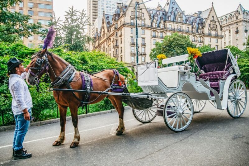 NYC: Guided Central Park Horse Carriage Ride - Practical Tips for Your Ride