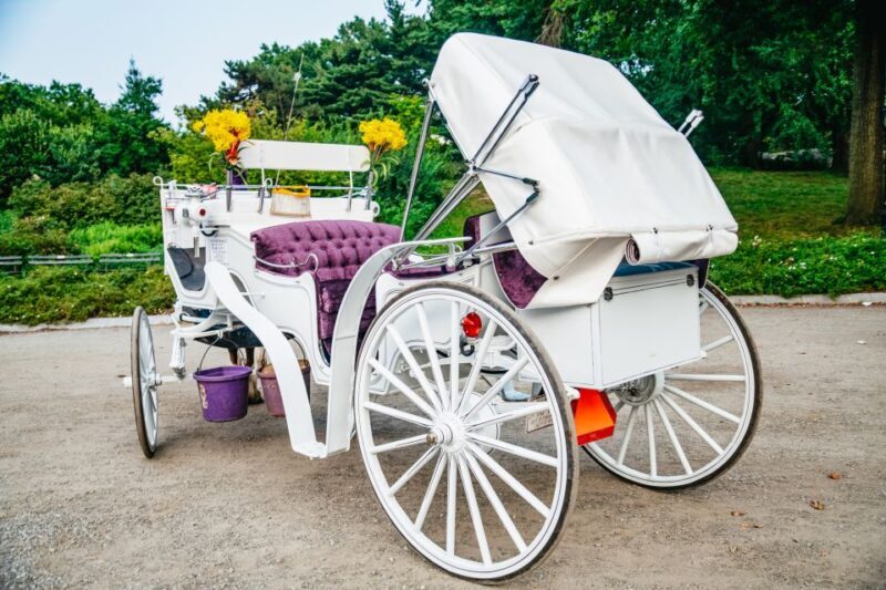 NYC: Guided Central Park Horse Carriage Ride - Frequently Asked Questions