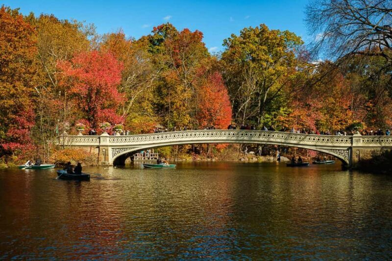 NYC: Guided Central Park Private Pedicab Tour - Key Points