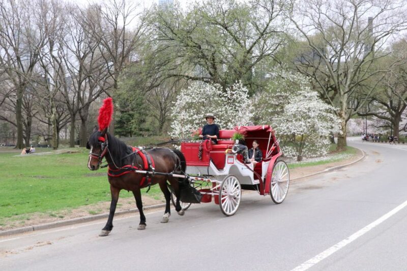 NYC: Guided Standard Central Park Carriage Ride (4 Adults) - Who Should Consider This Experience?