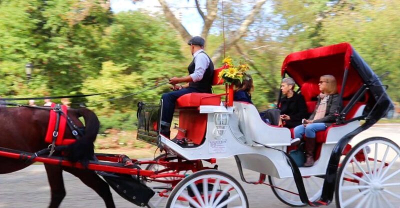 NYC: Guided Standard Central Park Carriage Ride (4 Adults) - Final Thoughts
