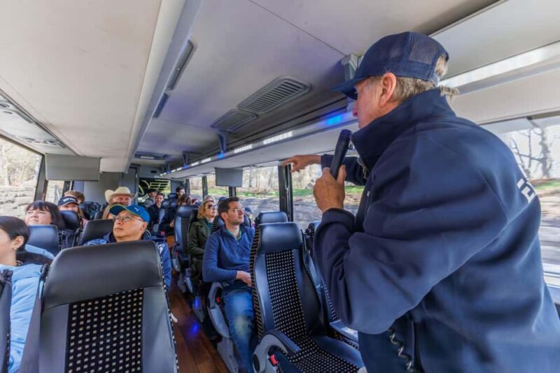 NYC: Half-Day Luxury Bus Tour with Empire State Access - Key Points