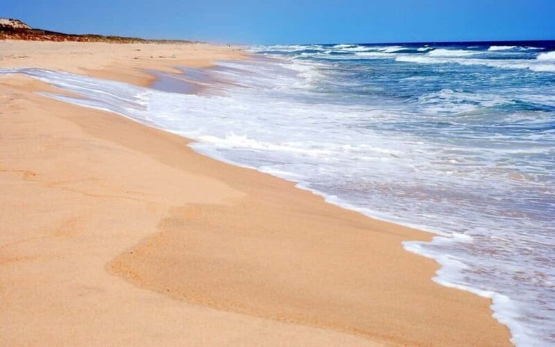 NYC: Hamptons Private Day Tour - A Deep Dive into the Hamptons Private Day Tour